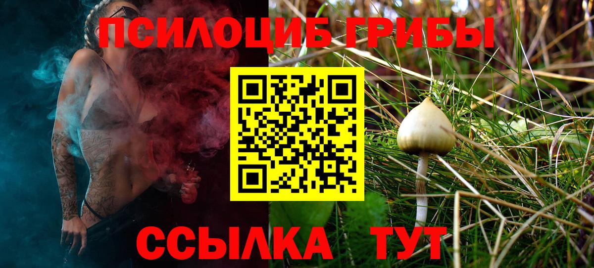 Галлюциногенные грибы мицелий  Вход с VPN  Новокуйбышевск 